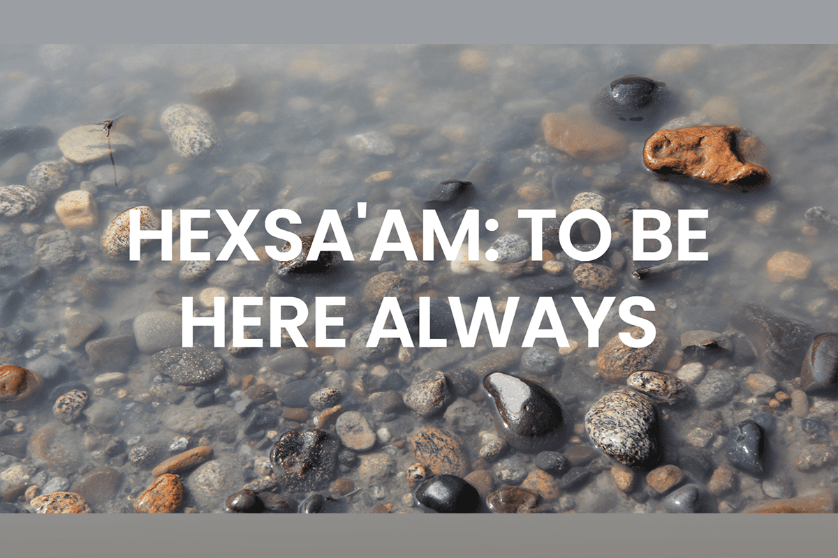 Hexsa’am / To Be Here Always