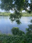 Otonabee-1