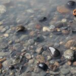 Hexsa’am: To Be Here Always