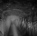 tempImagebeNtcT-scaled-1-1-1-1