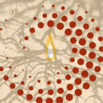 The path of a spiral