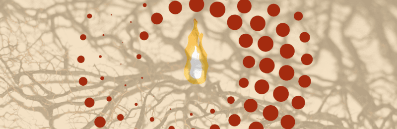 The-path-of-a-spiral