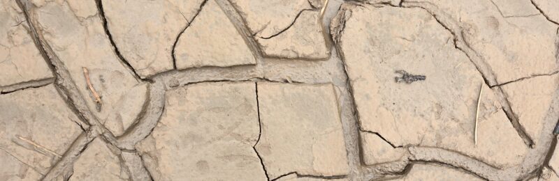 mudflatcracks-1