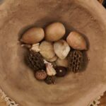 love of a lineage in blossom