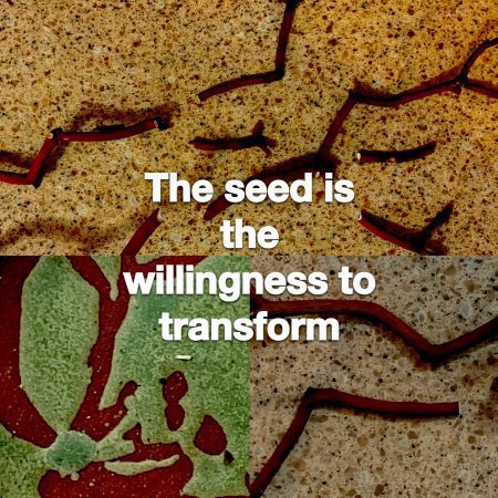 response-to-What-is-a-Seed-1