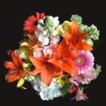 The Art(ist) of Becoming – Rainbows in the Mud – – – – – –  Thumbnail image – Mutya’s flowers from a Norwegian love – – – – – –  Beauty received – Port Moody 2021 –