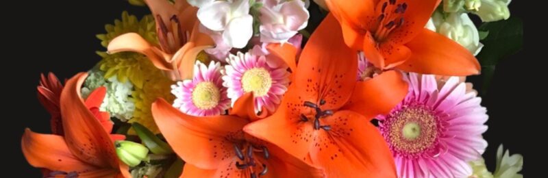 The-Artist-of-Becoming-01