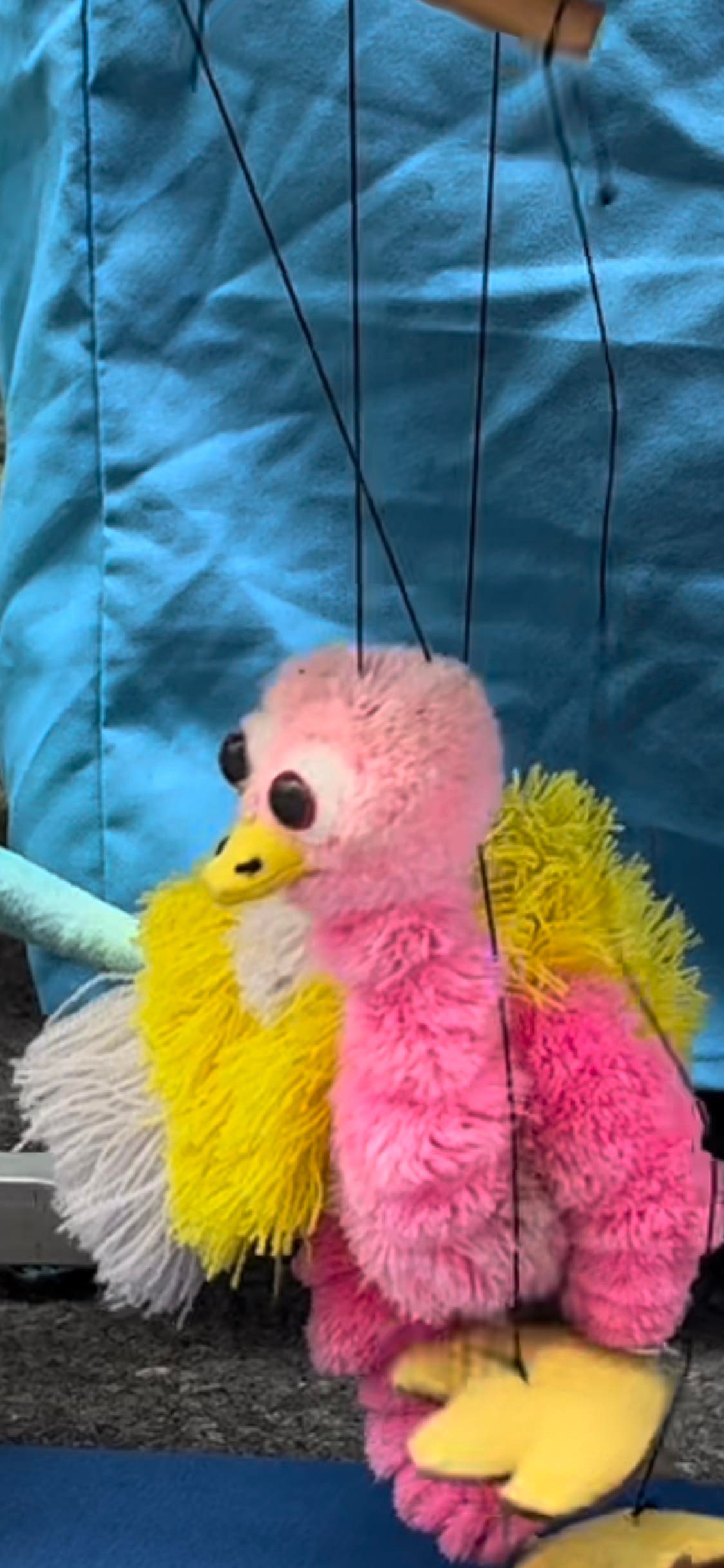 313371143_1276866496429592_7954587714315459359_n