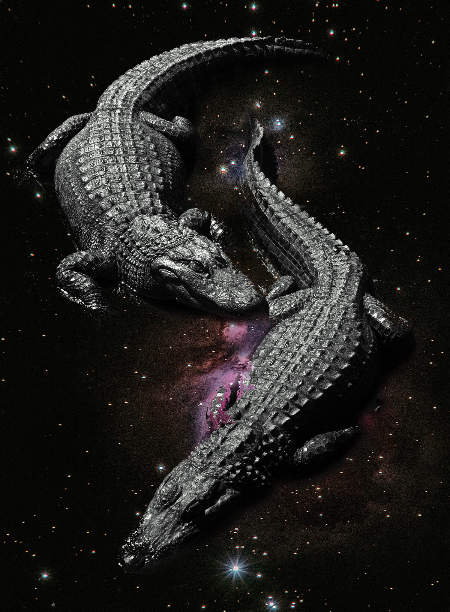 Alligators-in-Space