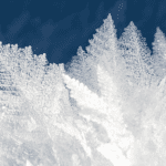 Notes on recorded culture