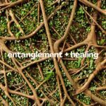 entanglement + healing
