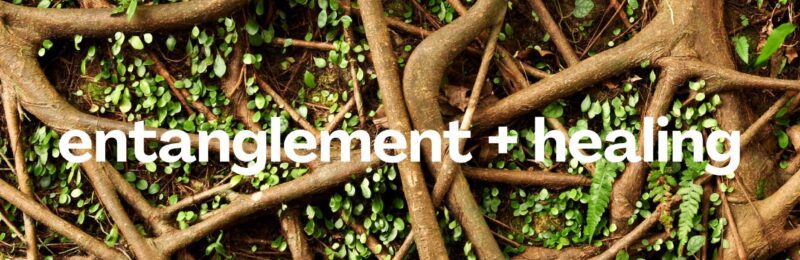 roots-entanglement-healing